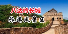 榴莲污视免费下载中国北京-八达岭长城旅游风景区