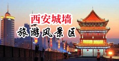 www.日本插逼中国陕西-西安城墙旅游风景区